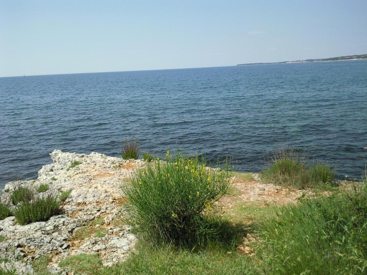 Villa Mala Poreč