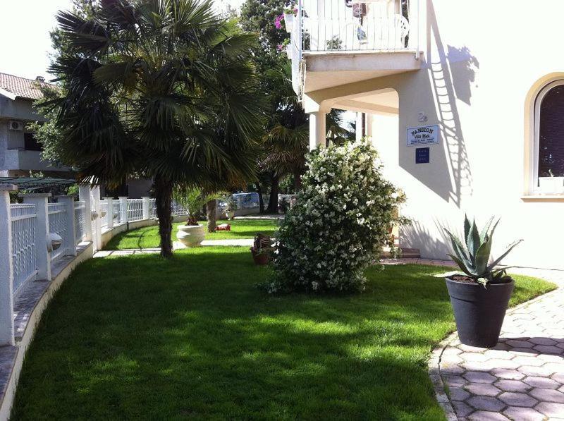 Villa Mala 3*